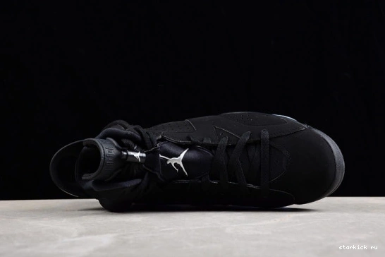 Metallic 6 Silver Jordan Retro DX2836-001 DX2836-001 0224